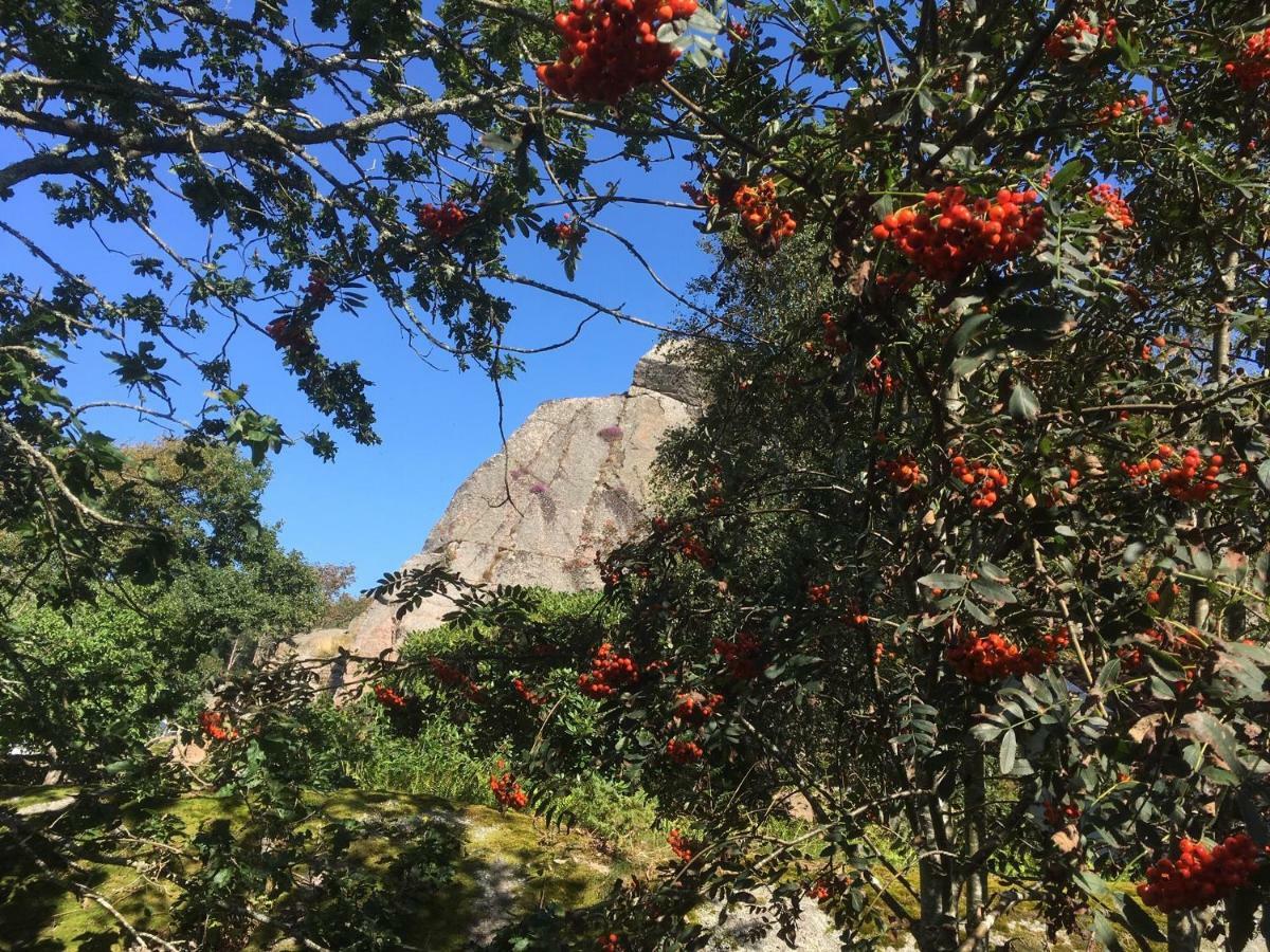 Stuga I Naturskoent Omrade Pa Vaestra Tjoern Saby Exterior foto